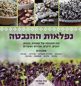 נפלאות ההנבטה - מן הכוח אל הפועל נפלאות ההנבטה - מן הכוח אל הפועל